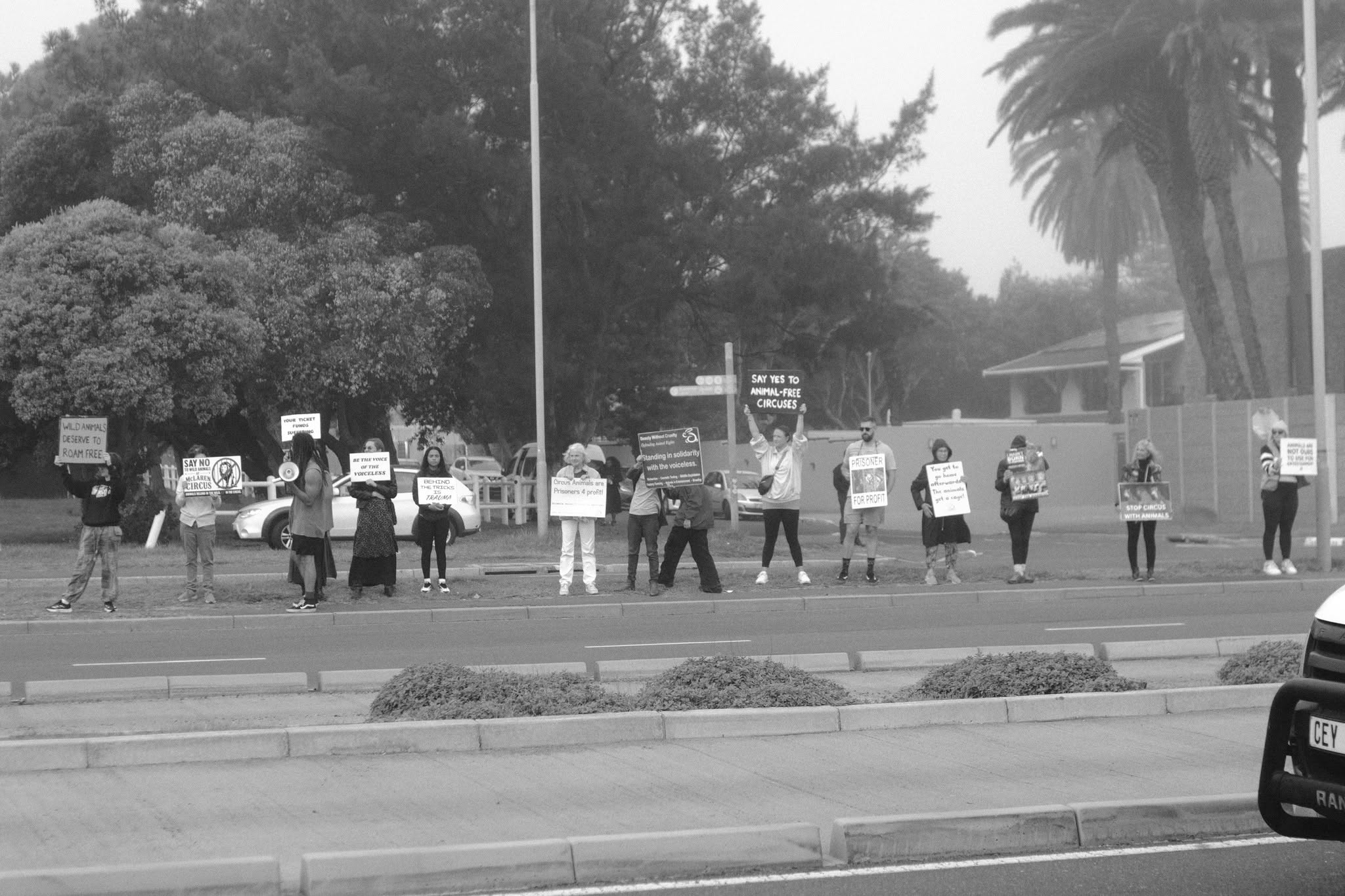 A line of campaigners along a Cape Town roadside holding anti-circus placards