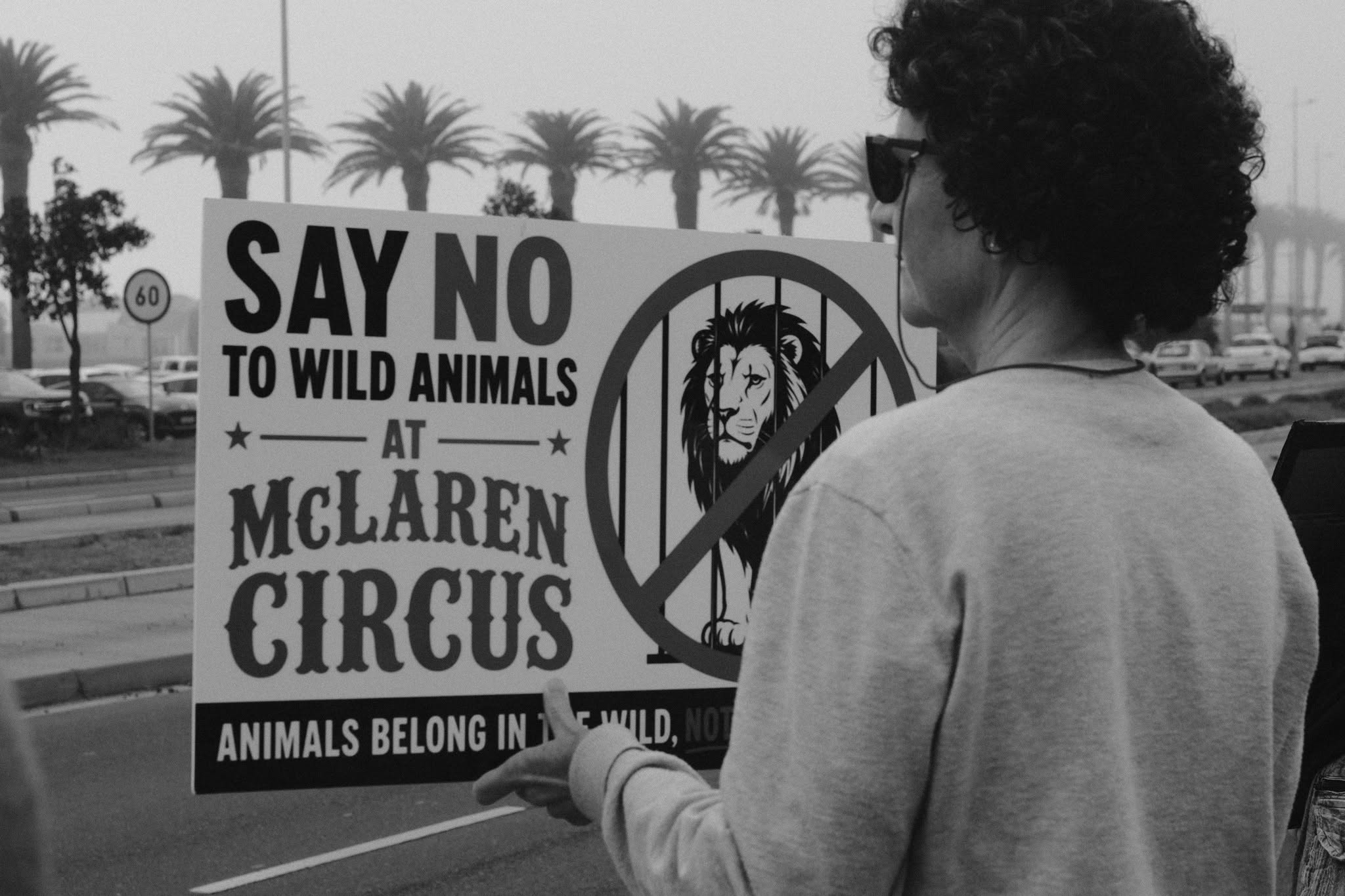 A campaigner holding a "Say no to wild animals at McLaren Circus — animals belong in the wild" placard